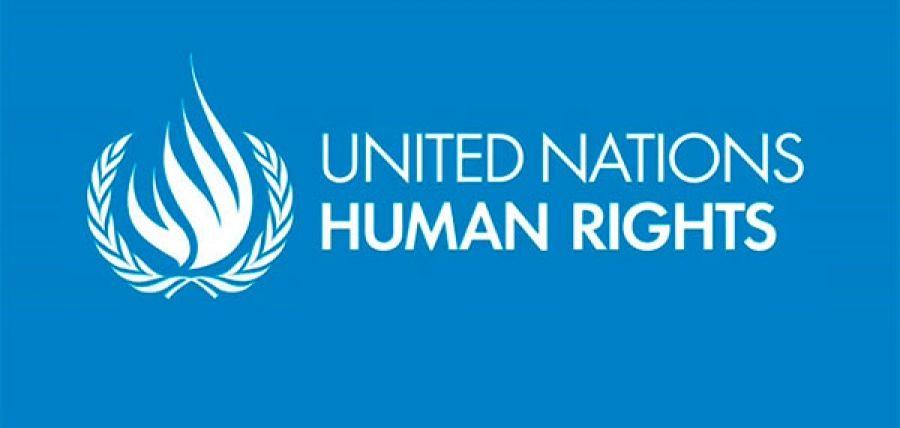 La reforma del Sistema Interamericano de Derechos Humanos no puede afectar su capacidad para proteger a las víctimas – Pillay ONU-ddhh