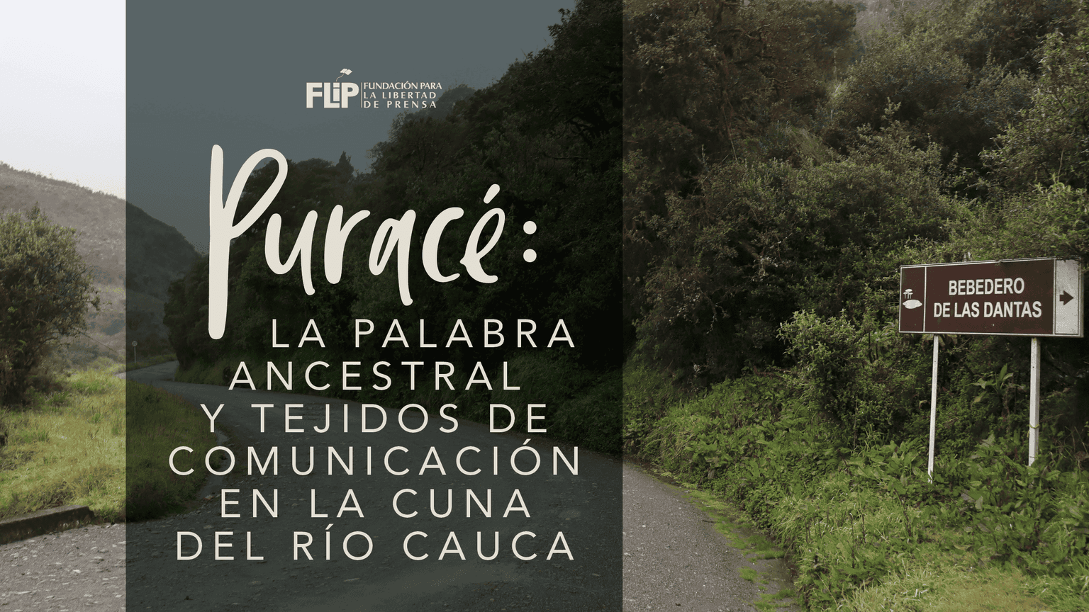 Puracé: la palabra ancestral y tejidos de comunicación en la cuna del río Cauca 